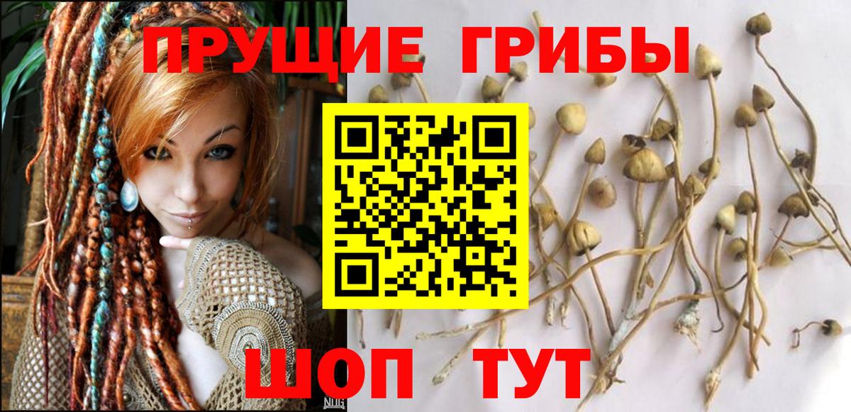Кирово-Чепецк  Галлюциногенные грибы прущие грибы  Вход с VPN 