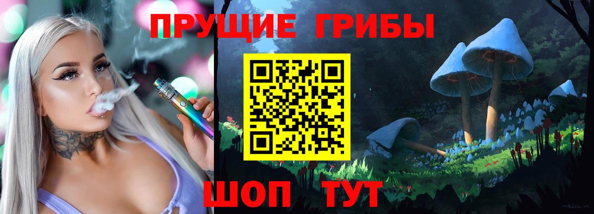 Псилоцибиновые грибы Psilocybe Кирово-Чепецк